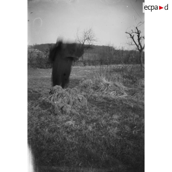 [Silhouette floue dans un champ, s.d.]
