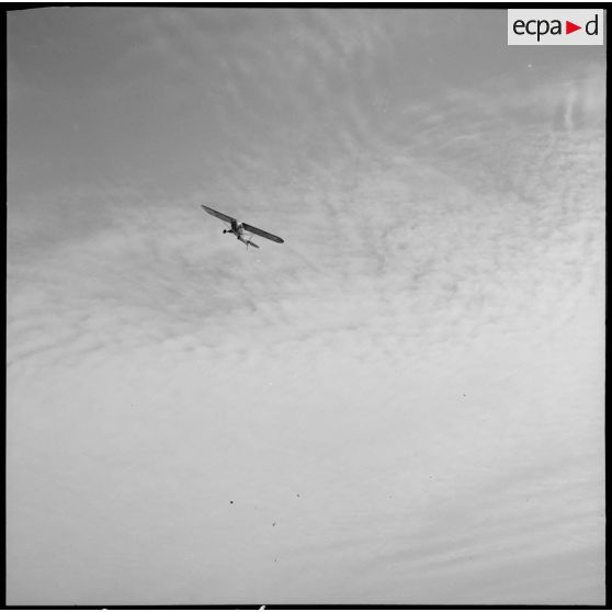 Un avion d'observation de type "Piper" effectue une reconnaissance aérienne.