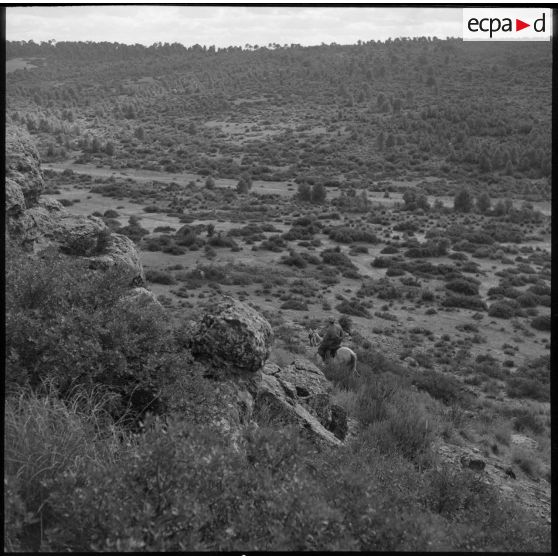 Patrouille de reconnaissance des spahis du 10e GESA dans les environs de Saïda.