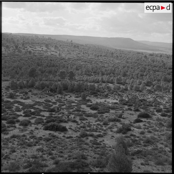 Patrouille de reconnaissance des spahis du 10e GESA dans les environs de Saïda.