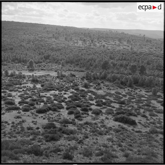Patrouille de reconnaissance des spahis du 10e GESA dans les environs de Saïda.