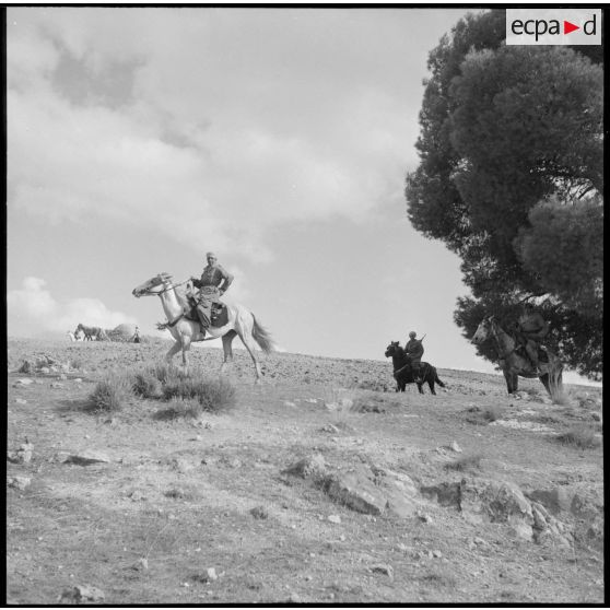 Les spahis du 10e GESA patrouillent sans cesse, dans les environs de Saïda.