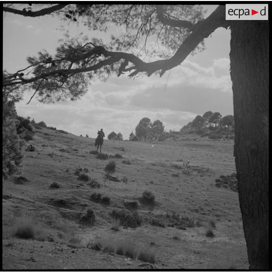 Un spahis du 10e GESA en patrouille dans les environs de Saïda.