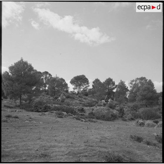 Les spahis du 10e GESA patrouillent dans les environs de Saïda.