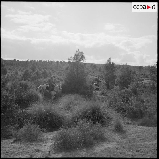 Dans les environs de Saïda, des spahis du 10e GESA mènent une patrouille de reconnaissance.