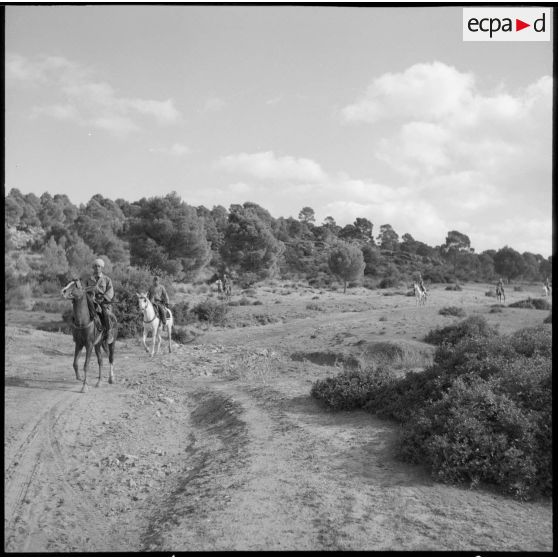 Patrouille de reconnaissance opérée par les spahis du 10e GESA dans les environs de Saïda.