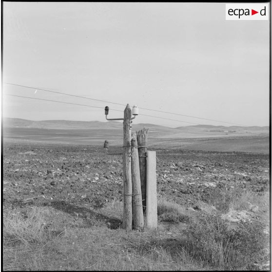 Un pylône électrique dans un champ rocailleux de Masqeuray (actuelle commune de Djouab).