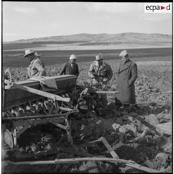 Un sous-lieutenant et des officiers du 9e régiment de tirailleurs algériens (BTA) vérifient le bon fonctionnement du tracteur pour les semailles sur un champ près d'Aumale (actuelle wilaya de Médéa).