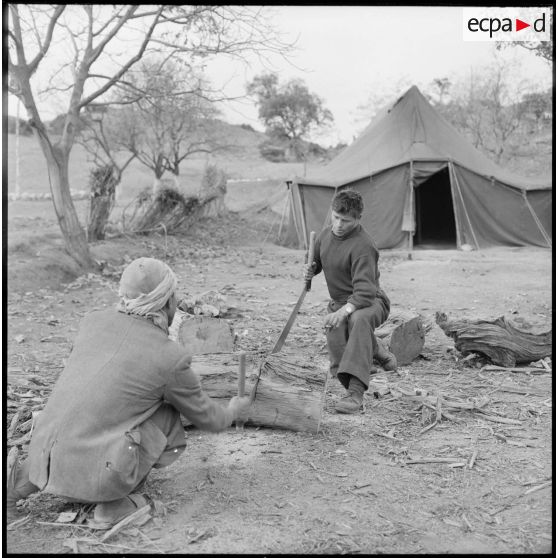Un soldat du 5e bataillon de tirailleurs algériens (BTA) et un Algérien sciant une buche de bois au poste d'Aïn Terzine.