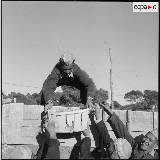 Portrait d'un soldat du 5e bataillon de tirailleurs algériens (BTA) portant un panier sur le chantier d'une mechta à Aïn Terzine.