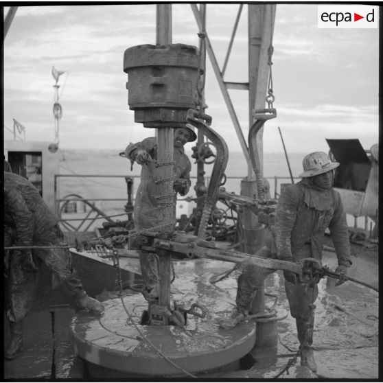 Forage pétrolier sur la table de rotation de la plateforme pétrolière d'Hassi Messaoud par des ouvriers de la Compagnie française des pétroles en Algérie.