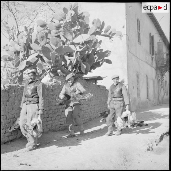 Trois soldats du 8e régiment de spahis (8e RS) portant des volailles pour le repas de l'unité à M'Sila.