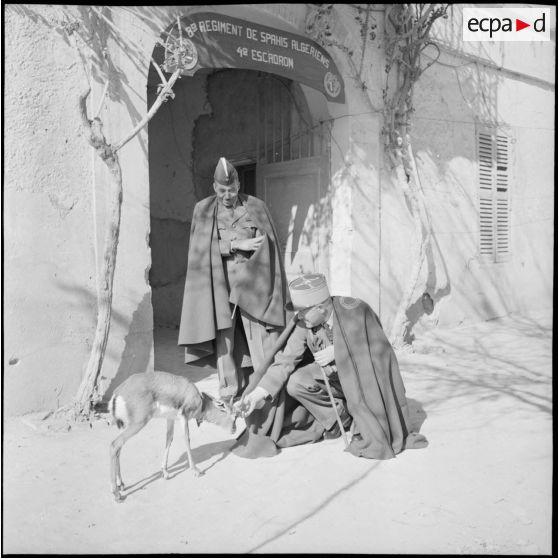 3)	Le commandant du 8e régiment de spahis (RS) caressant une chèvre devant le poste de l’unité à M’Sila.