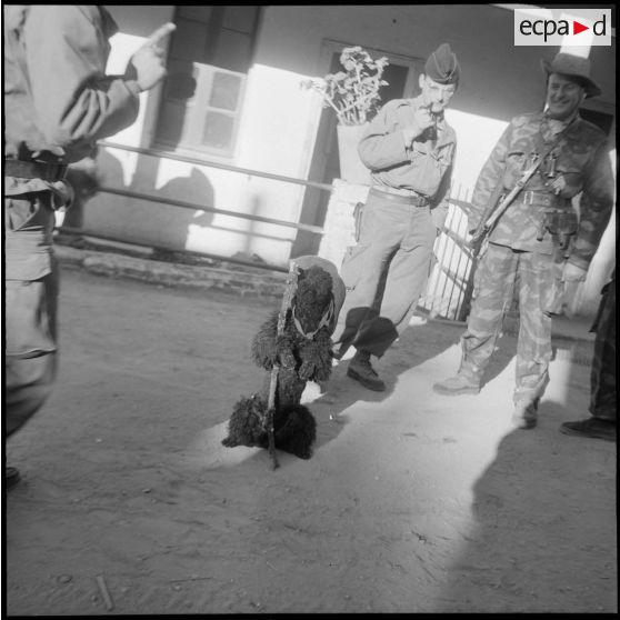 La mascotte du 43e BIC.