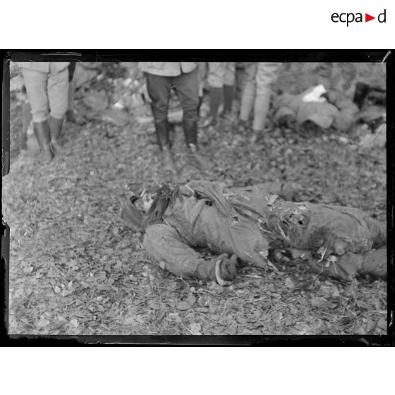 Forêt de Compiègne (Oise). Carrefour de la Michelette. Débris d'un avion allemand abattu. Le cadavre du pilote. [légende d'origine]