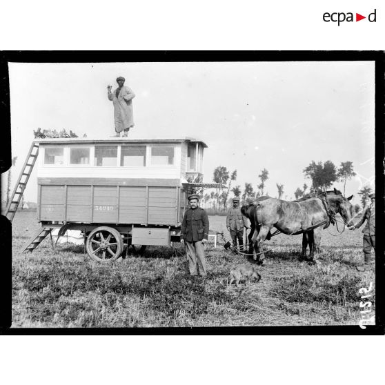 Près d'Alveringhem, Belgique, colombier militaire belge. [légende d'origine]