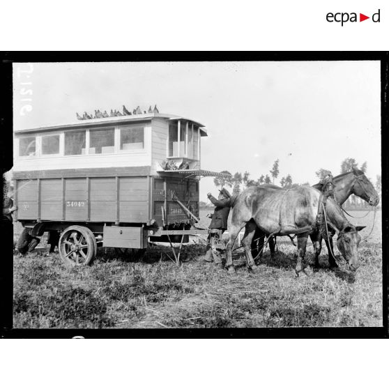 Près d'Alveringhem, Belgique, colombier militaire belge. [légende d'origine]
