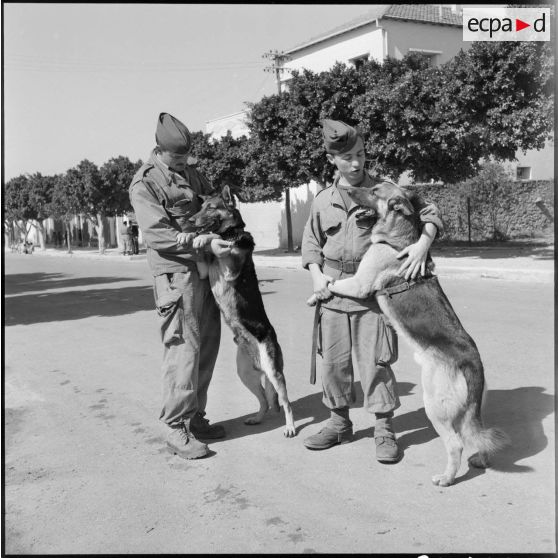 Maîtres-chiens et leur animal.