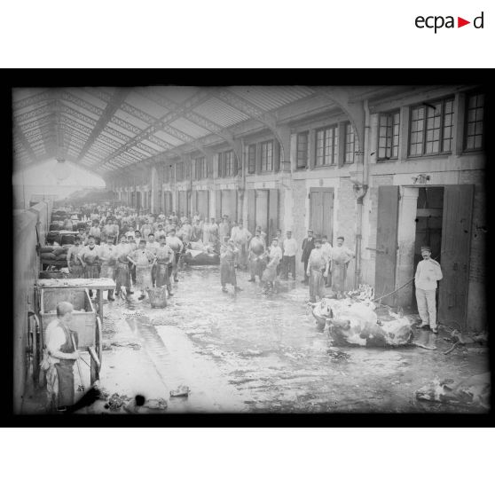 La cour d'abattage aux abattoirs de la Vilette. [légende d'origine]