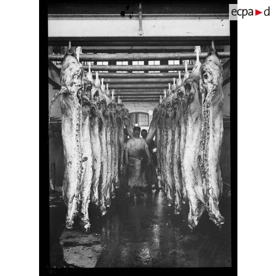 Echaudoirs aux abattoirs de Vaugirard. [légende d'origine]