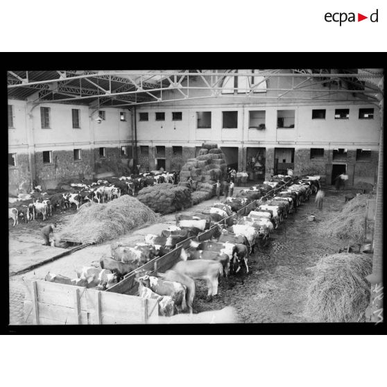 Une étable militaire à Levallois. [légende d'origine]