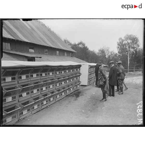 Port-Villez, établissement belge pour la rééducation des mutilés. Le clapier. [légende d'origine]