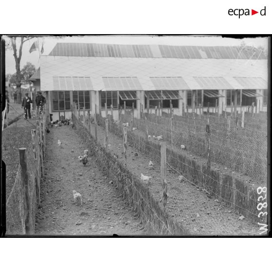Port-Villez, établissement belge pour la rééducation des mutilés. L'élevage des volailles. [légende d'origine]