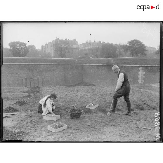 Paris, les jardins potagers des fortifications. La culture du terrain. [légende d'origine]