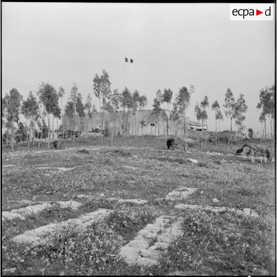 Vue d'un poste, département de Mostaganem.
