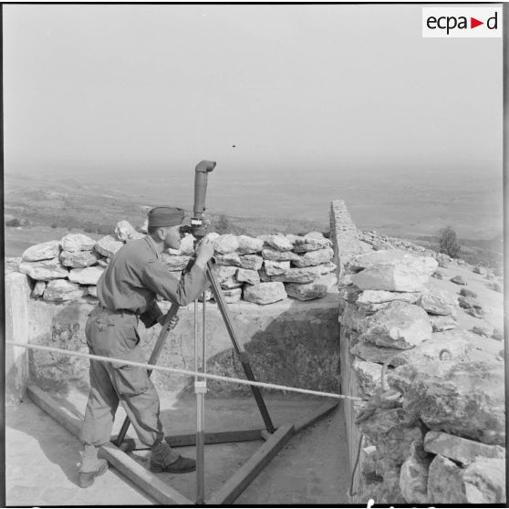 Observation à la binoculaire, département de Mostaganem.