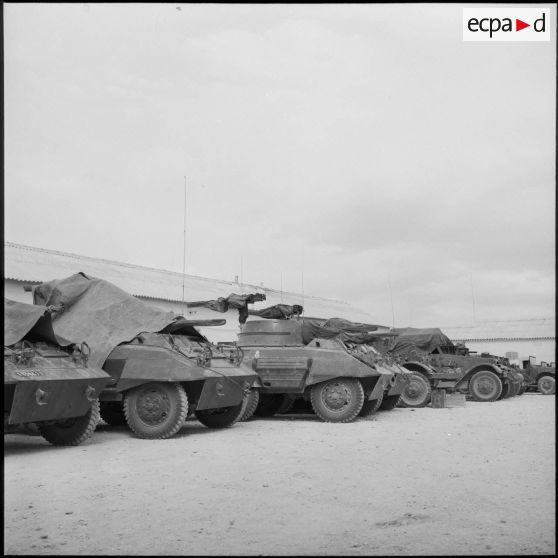 Opération avec les blindés du 4e escadron du 2e groupe (4-2) de gendarmerie mobile de Djelfa.