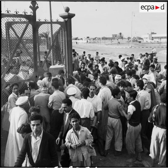 Le pillage des entrepôts de vivres par la population civile à Port-Saïd.