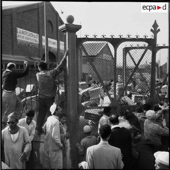 Le pillage des entrepôts de vivres par la population civile à Port-Saïd.