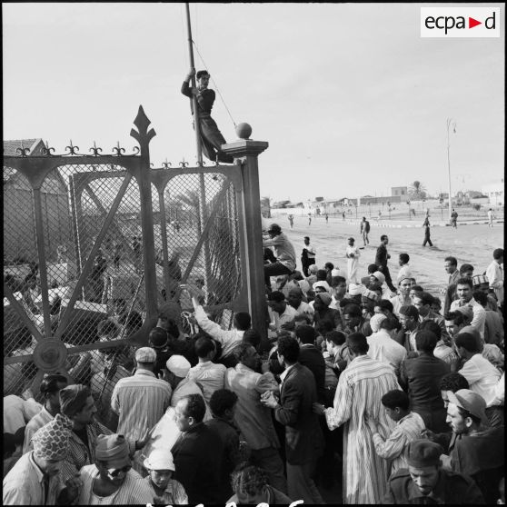 Le pillage des entrepôts de vivres par la population civile à Port-Saïd.