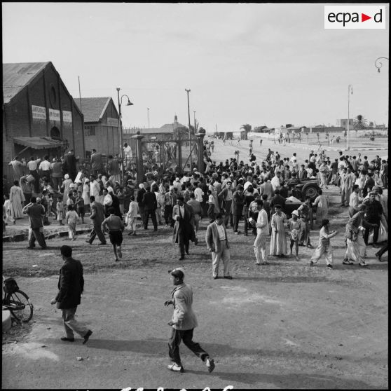 Le pillage des entrepôts de vivres par la population civile à Port-Saïd.