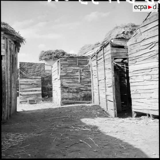 Un bidonville dans les environs d'El Cap.