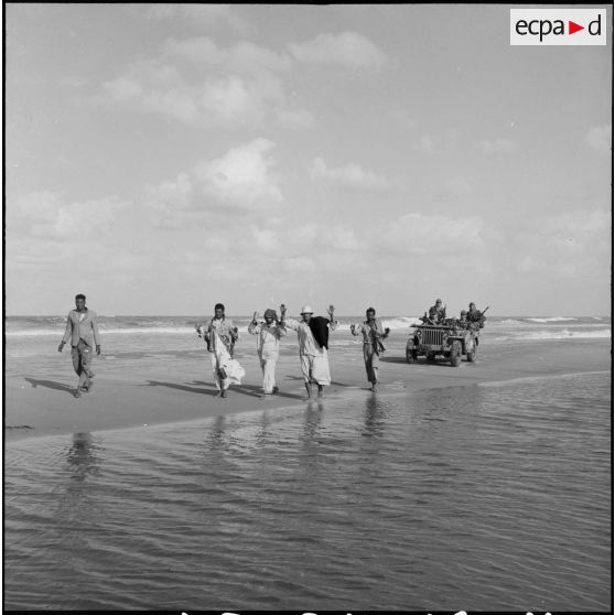 La capture de cinq prisonniers égyptiens par le 2e RPC au cours d'une reconnaissance armée en jeep à l'est de Port-Fouad, le long de la côte.