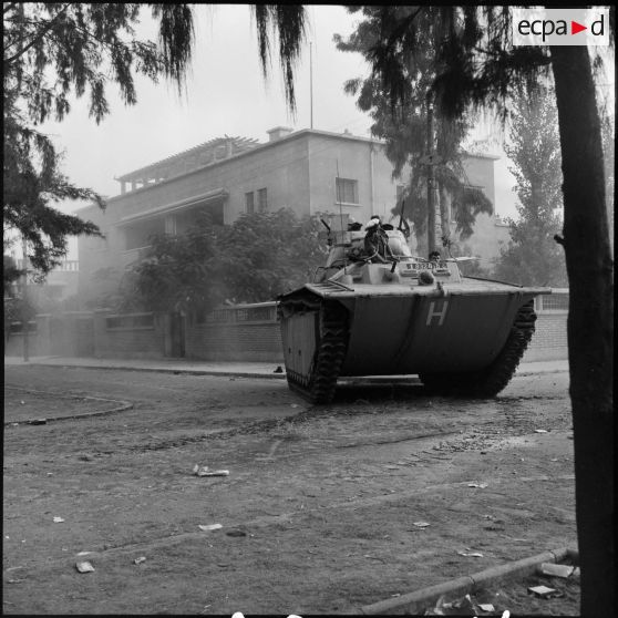 Les LVT 4 du Groupement amphibie de la Marine dans les rues de Port-Fouad.
