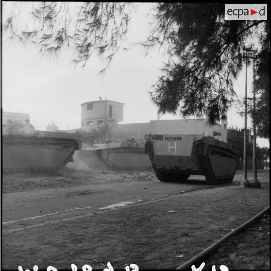 Les LVT 4 du Groupement amphibie de la Marine dans les rues de Port-Fouad.