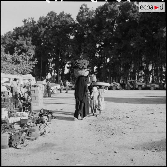 Les habitants de Port-Saïd regagnent leurs habitations.