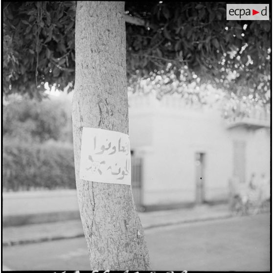 Un tract clandestin menace de mort les Egyptiens collaborant avec les troupes franco-britanniques.