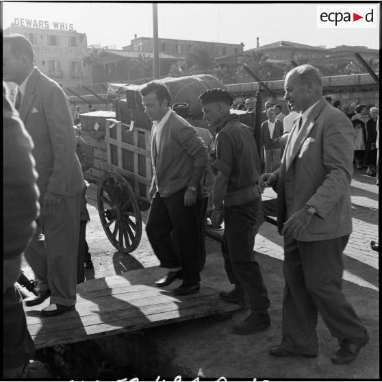 Les ressortissants italiens, grecs et yougoslaves patientent sur le quai avant leur embarquement sur le navire-hôpital Ascania.