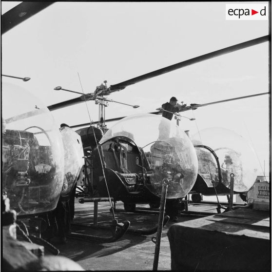 Les hélicoptères Bell du PHL (Peloton d'hélicoptères légers) de la Force A, à Port-Saïd.<br>