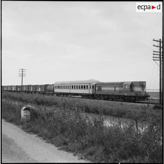 Un train du Croissant-Rouge égyptien dans les environs d'El Cap.