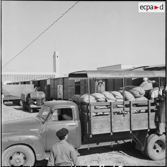 L'arrivée d'un train du Croissant-Rouge égyptien à Port-Saïd.