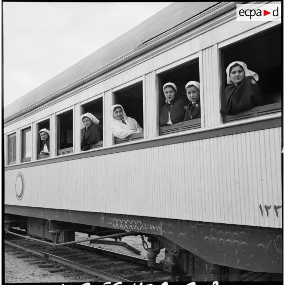 L'arrivée d'un train du Croissant-Rouge égyptien à Port-Saïd.