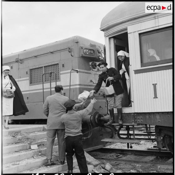 L'arrivée des infirmières du Croissant-Rouge égyptien à Port-Saïd.