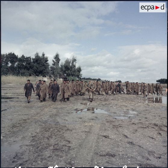 Prisonniers égyptiens à Port-Fouad.