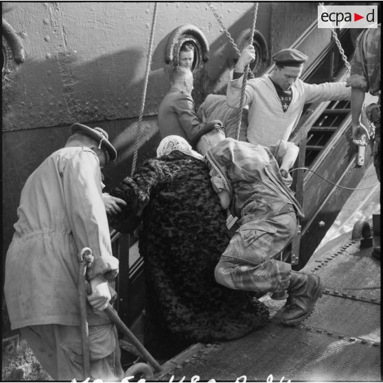 Embarquement de ressortissants français et étrangers à bord du Pasteur à Port-Saïd.