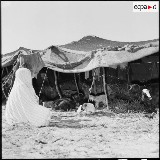 Le camp de réfugiés palestiniens de Jabalia, dans la zone de Gaza.